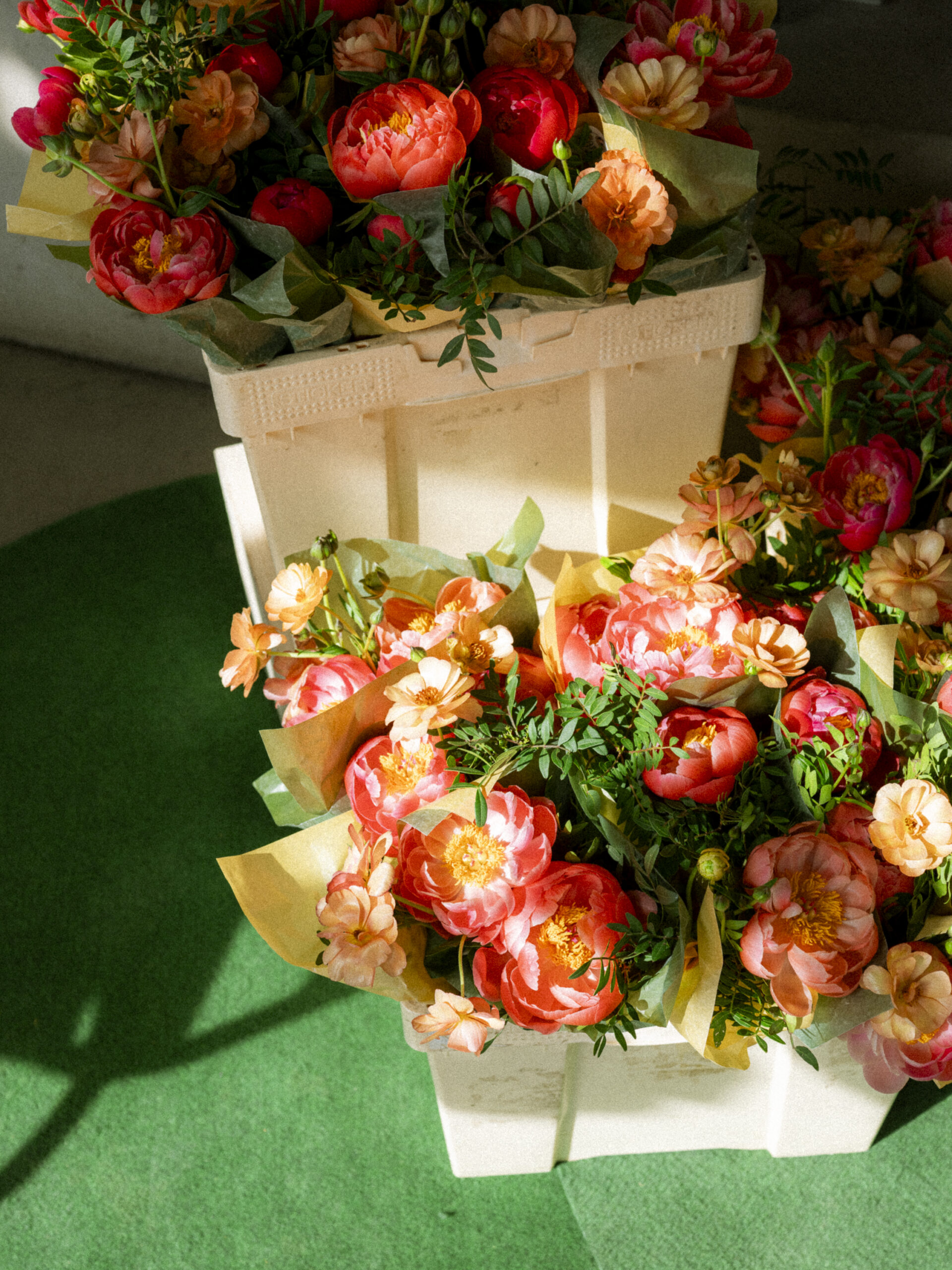 Boulebar_Philip_Liljenberg_250427_15