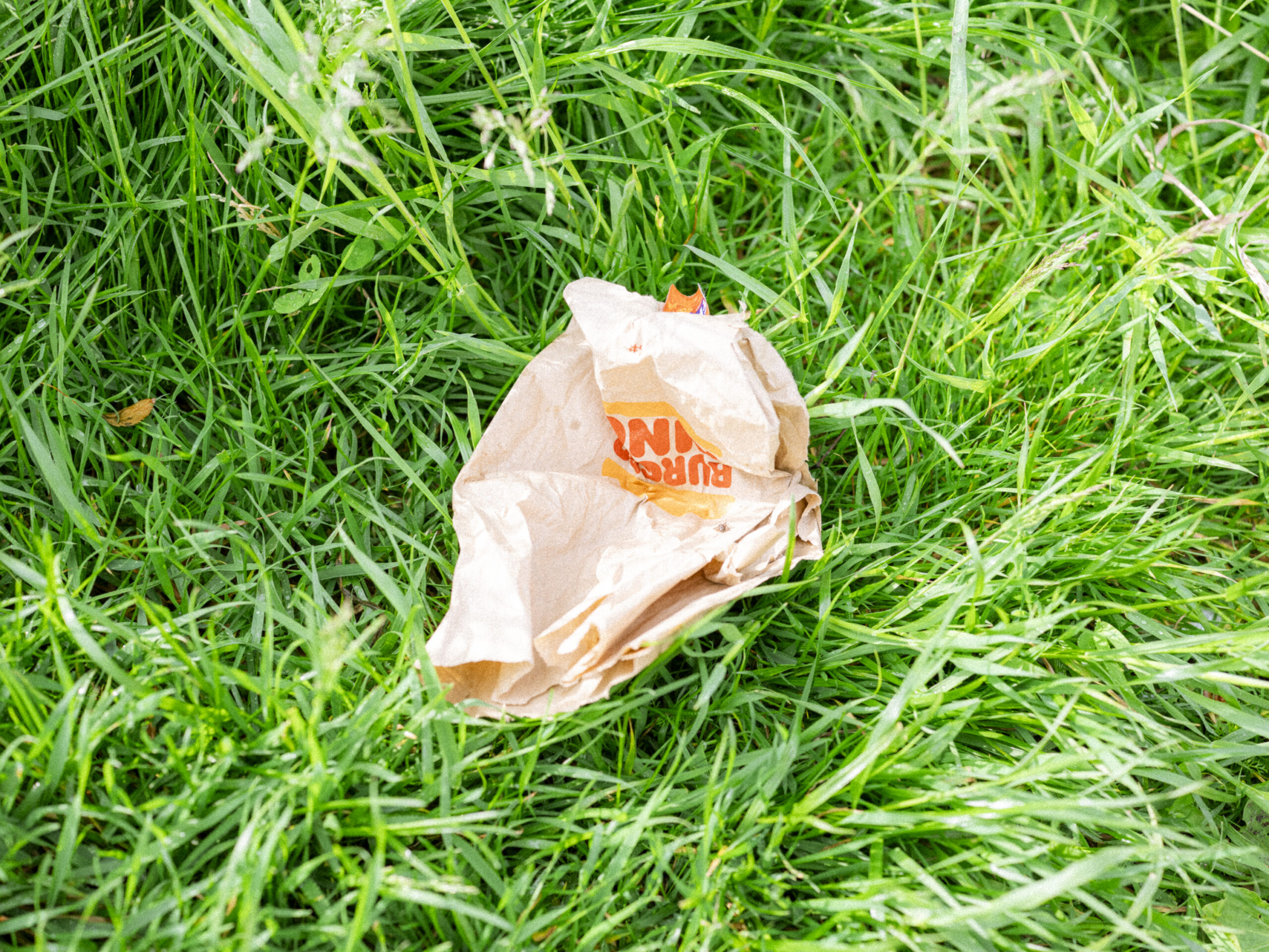 Philip_Liljenberg_250604_PW59_01