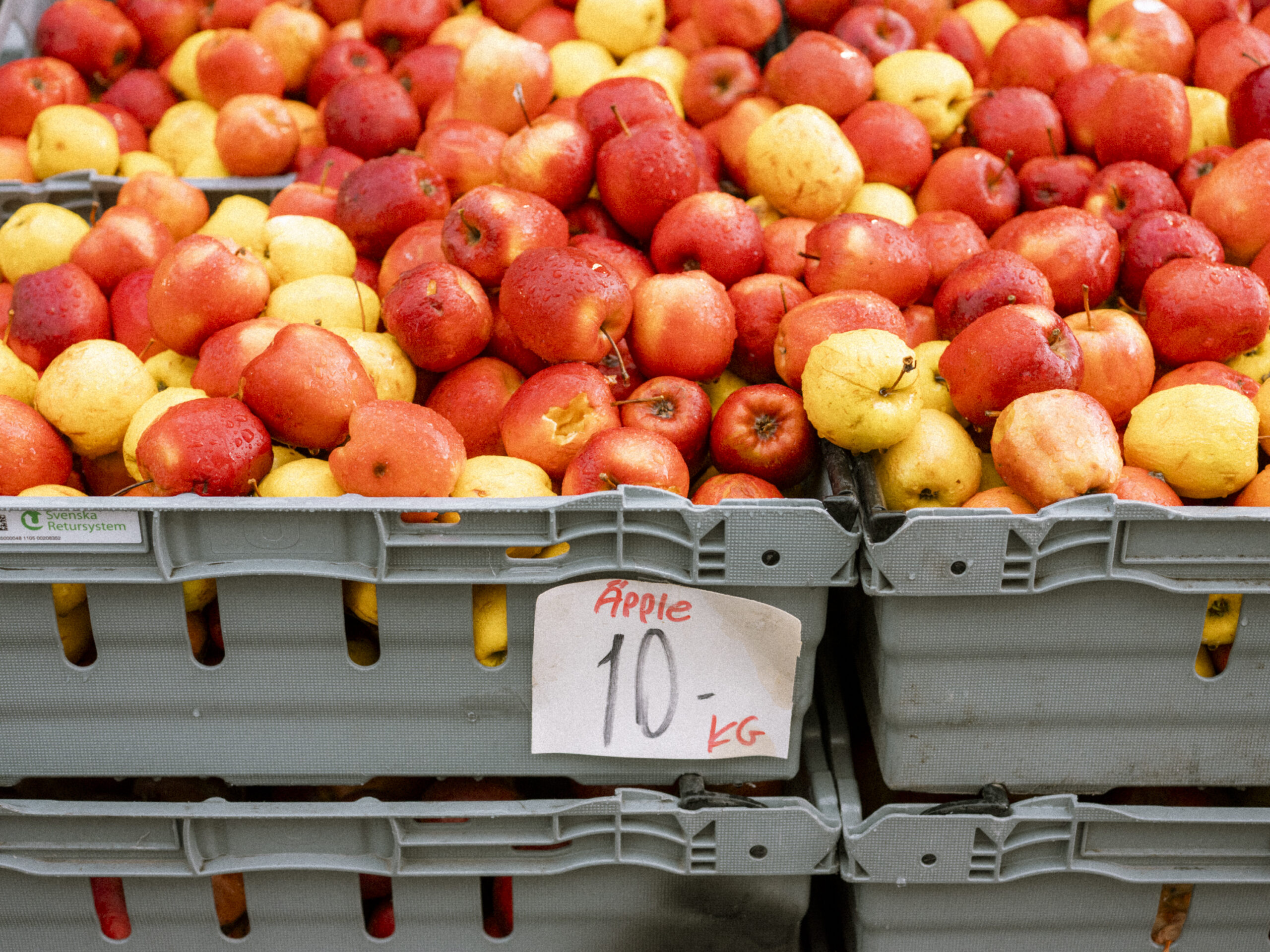 Philip_Liljenberg_250604_PW59_19