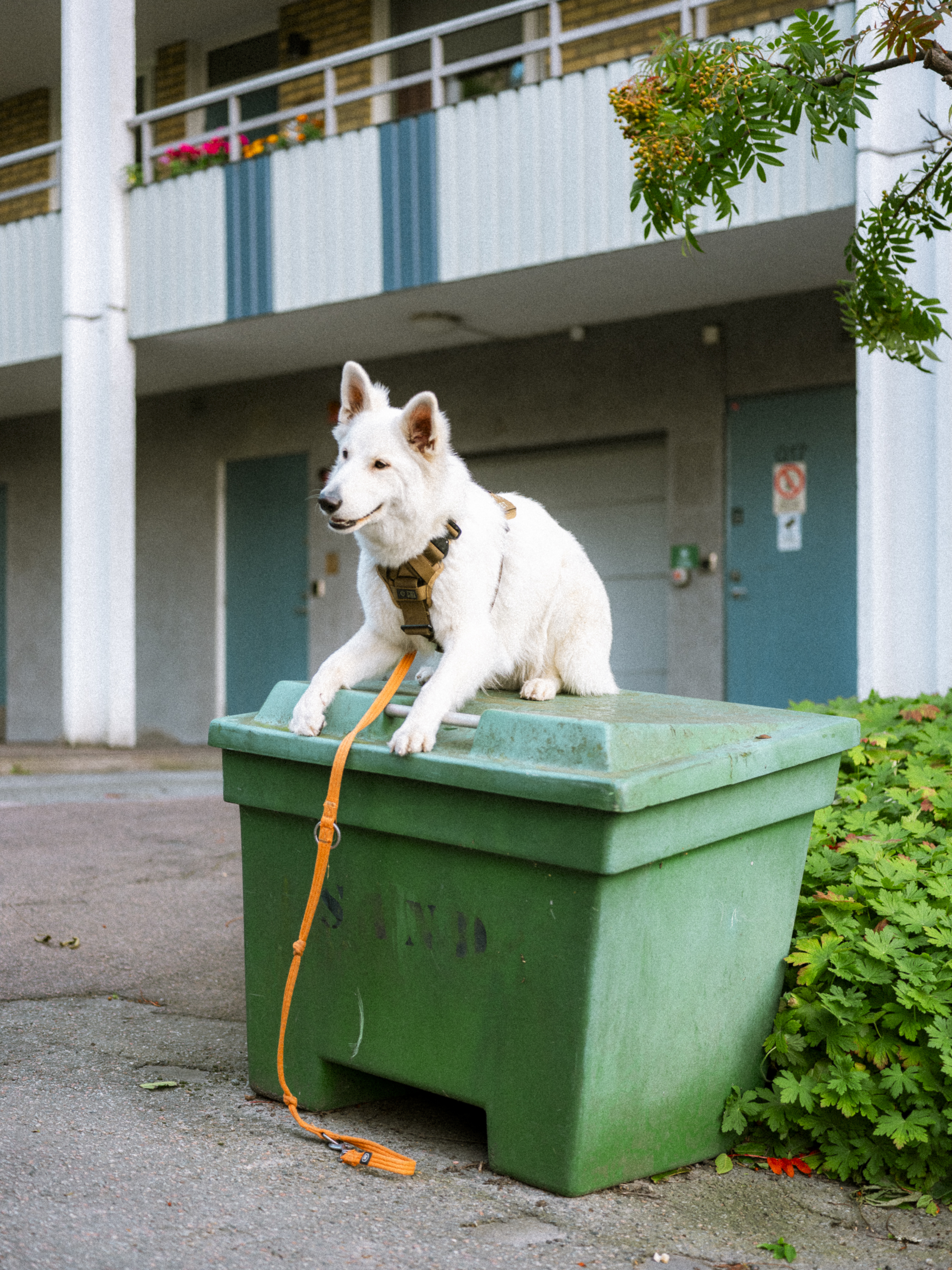 Philip_Liljenberg_250806_Photowalk_61_30