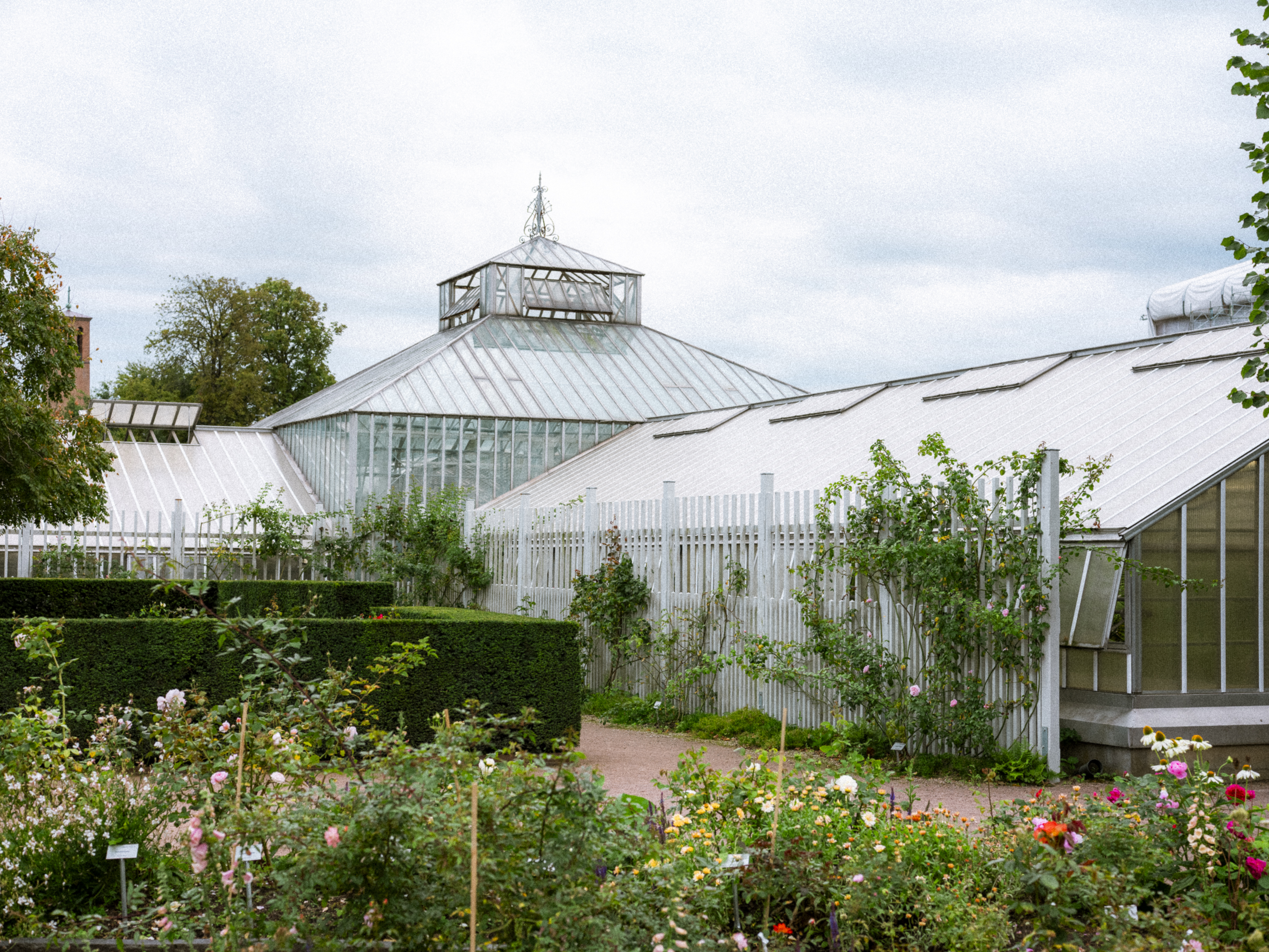 Philip_Liljenberg_Photowalk_62_02