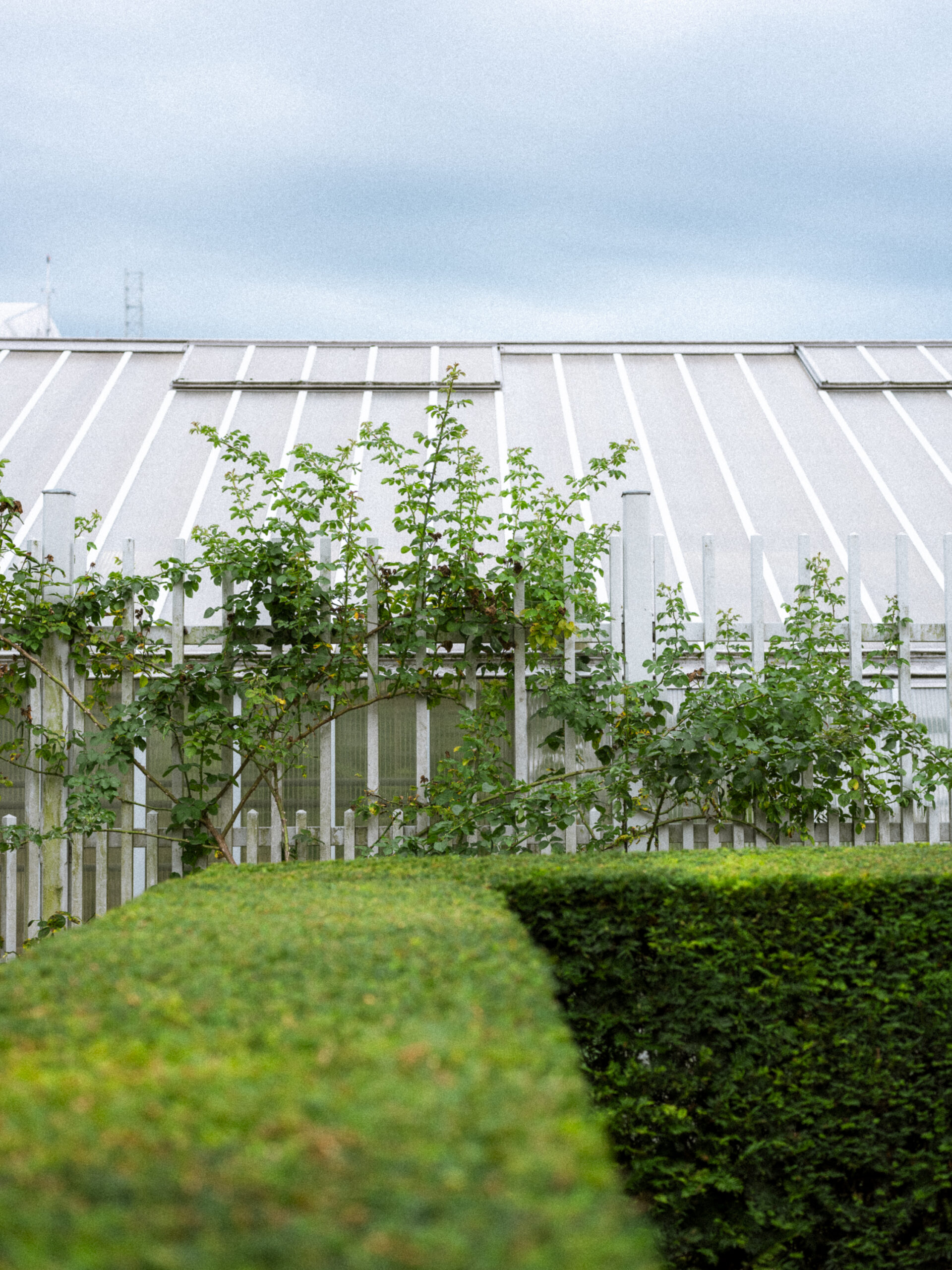 Philip_Liljenberg_Photowalk_62_03