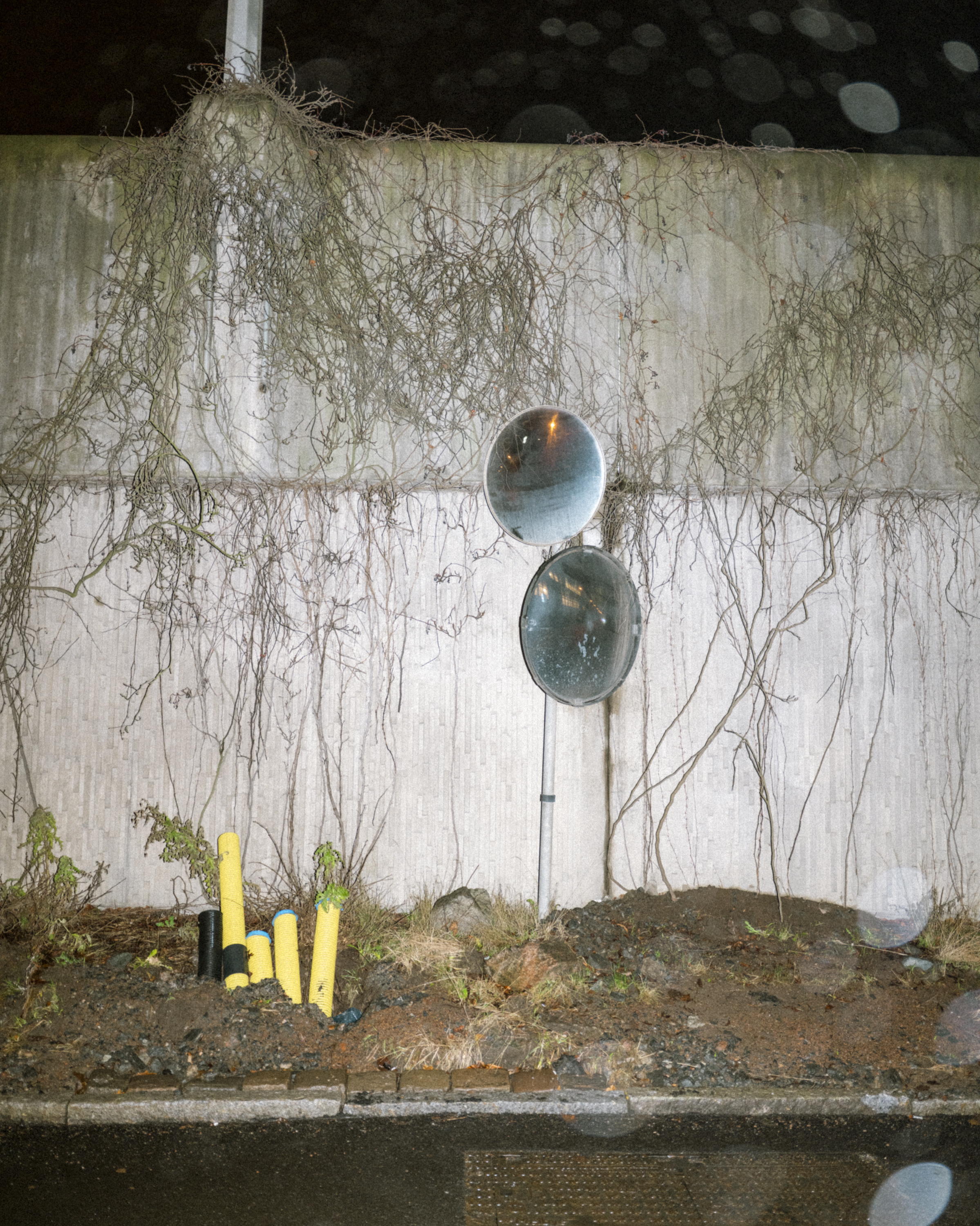 Philip_Liljenberg_LMN_PW_65_10